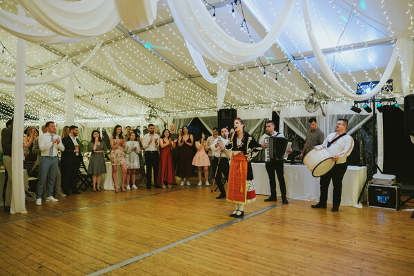 Корпоративни партита